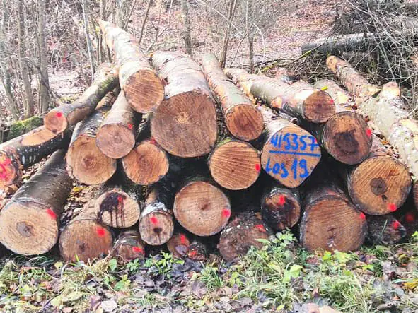 Brennholz Verkauf TimberTom